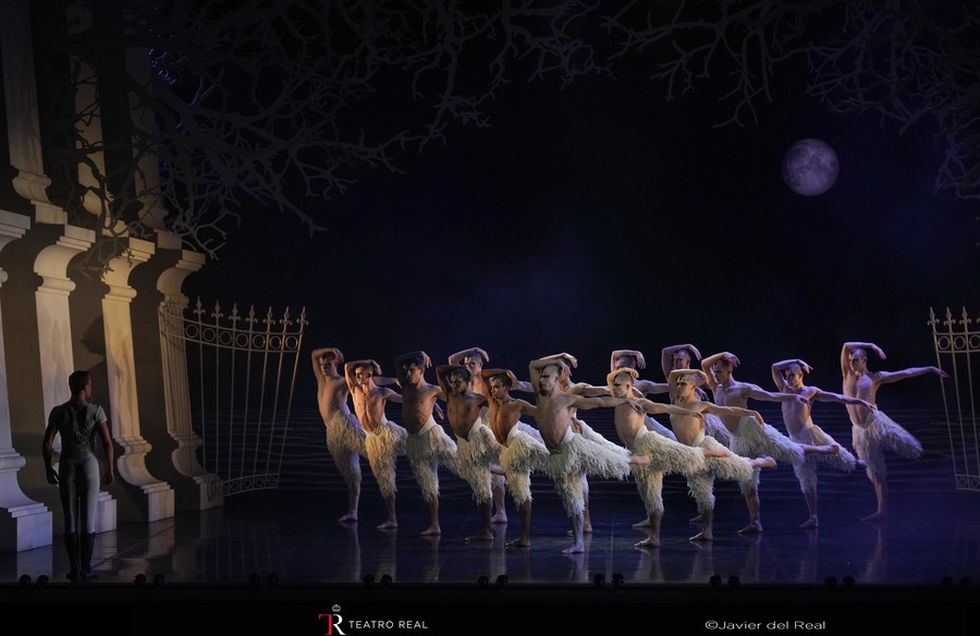 bloggif 691e68a561237